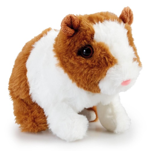 Ppp Playful Guinea Pig - 560253