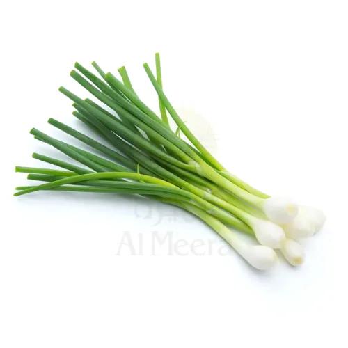 Onion Spring Iran Approx 200G