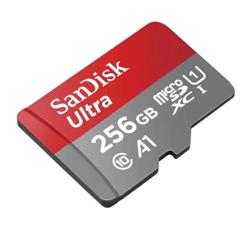 Sandisk Ultra 256 Gb Micro Sdhc/Micro Sdxc Uhs-I Card Up To 100Mb/S