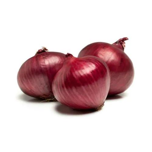 Onion Red Morocco Approx 1Kg