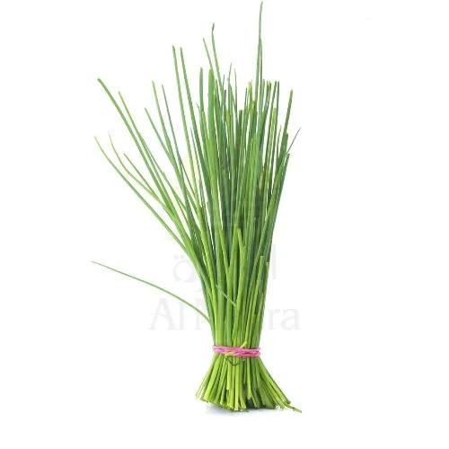 Herbs Chives Pot Approx 200G