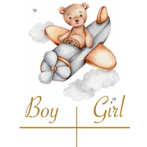 Board For Vote Gender Reveal Boy Or Girl Teddy Bear 3