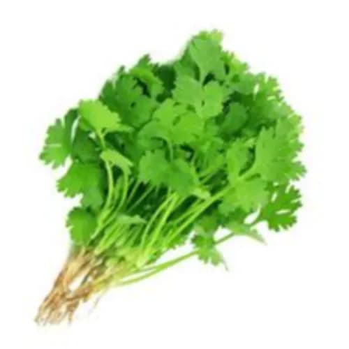 Fresh Coriander Leaves Jordan 1000 Gr