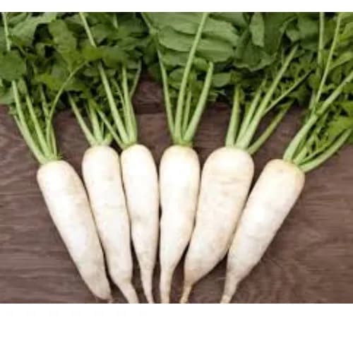 White Radish China 500G