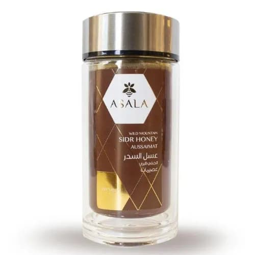 Wild Mountain Sider Honey Of Aussaimat (Premium) 500G