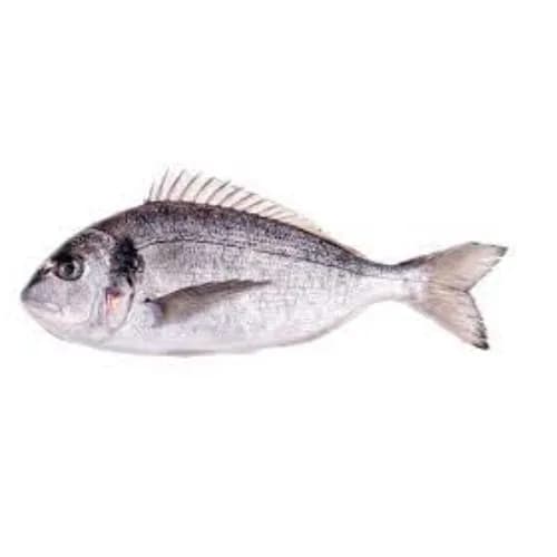 Fresh Sea Bream Turkey 500 Gr