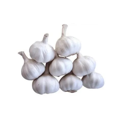 Garlic China 500gm