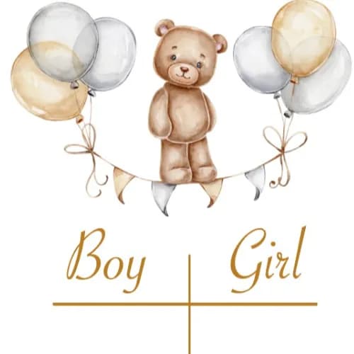 Board For Vote Gender Reveal Boy Or Girl Teddy Bear 1