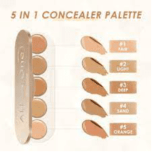Focallure Fa299 All-in-one Concealer Palette - 1#