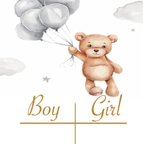 Board For Vote Gender Reveal Boy Or Girl Teddy Bear 2