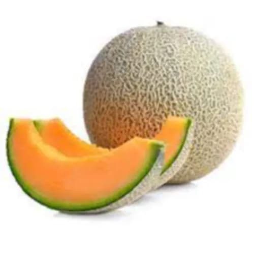 Rock Melon Iran 1000Gr