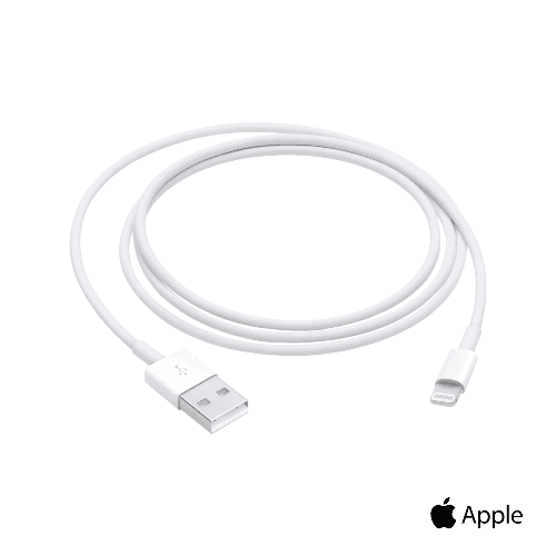 Apple USB To Lightning Cable
