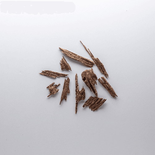 Clementine Oud