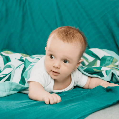 Tommy Lise Baby Blanket Roaming Mangrove 106X106 Cm (Buy 1 Get 1 Free)