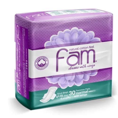 Fam Feminine Napkins Wings Regular 20 S