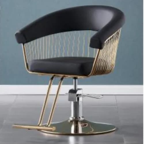 Salon Chair Black