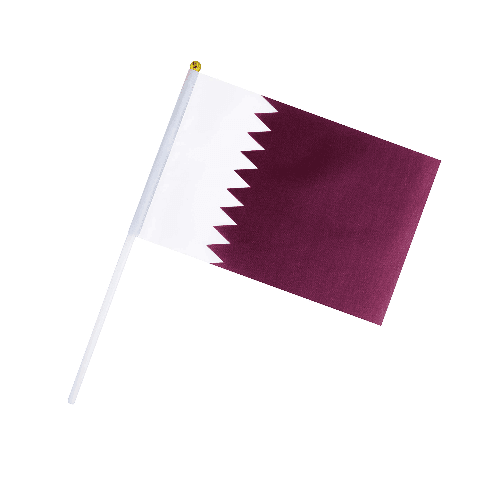 30*45   علم قطر