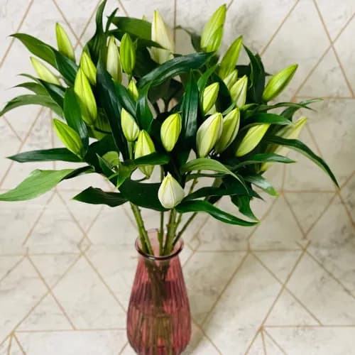 The Special Lily Vase