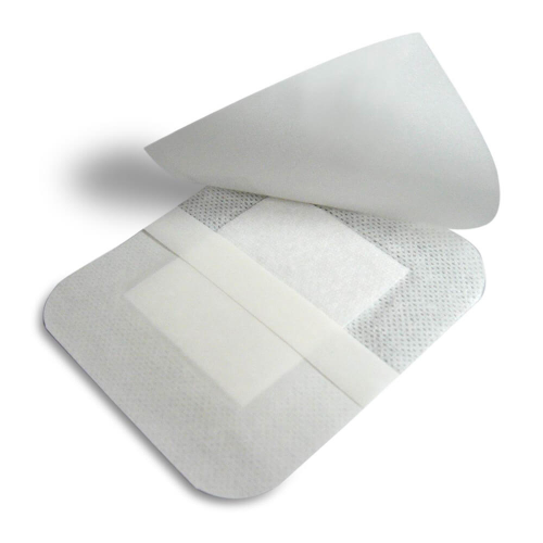 Waypore Non-Woven Dressing With Pad 6Cm*10Cm 50 Pieces