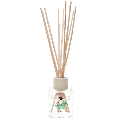 Beirut Reed Diffuser: Cedar and Patchouli