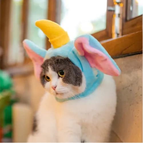 Cat Hat Elephant Xs