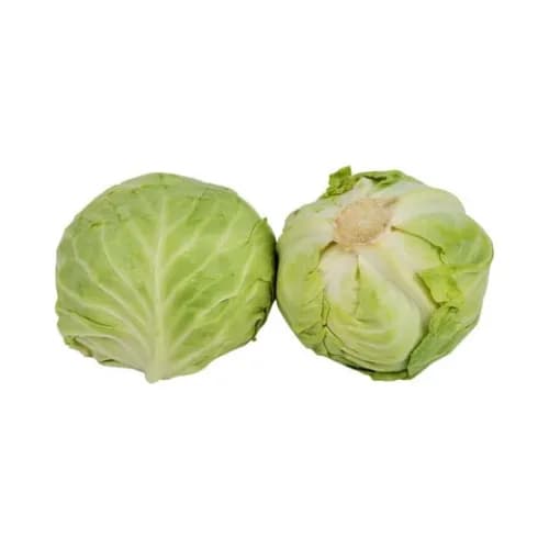 White Round Cabbage1Kg