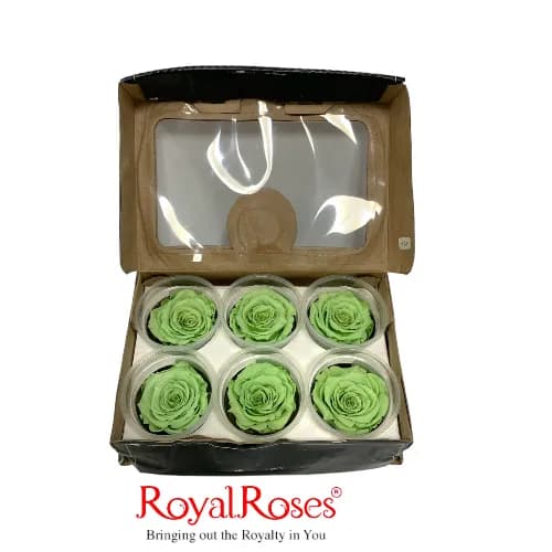 Princess Preserved Rose- Mint Green 6Pcs.