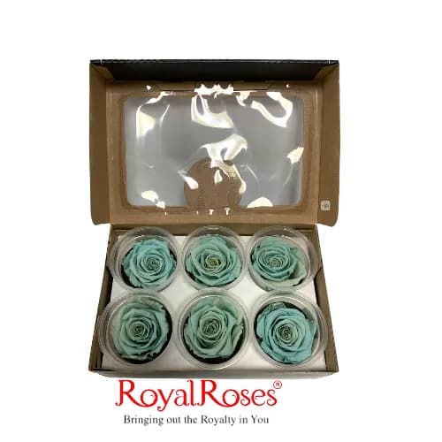 Princess Preserved Rose- Pale Blue 6Pcs