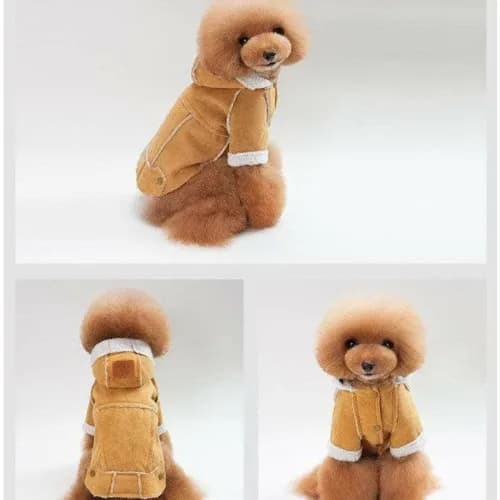 Dog Clothes Light Brown S