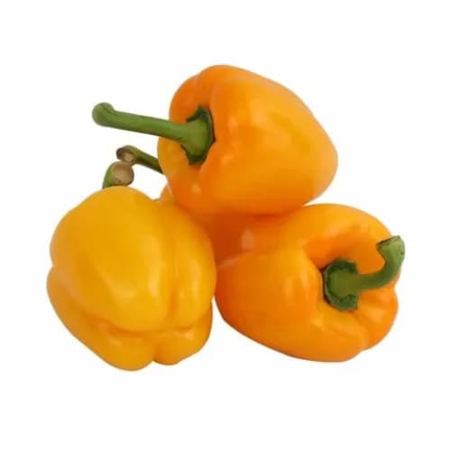 Yellow Capsicum Import1Kg