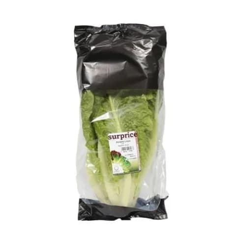 Romaine Lettuce