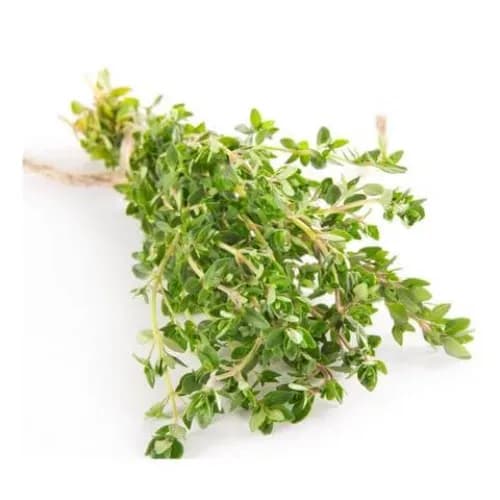 Thyme Bunch Africa