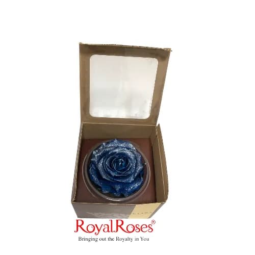 King Preserved Rose- Silver Dust Blue Kiara 1Pc