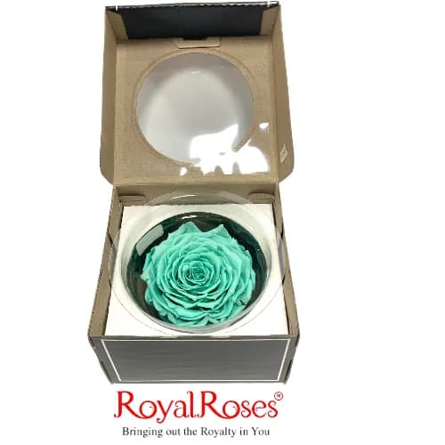 King Preserved Rose- Tiffany Blue 1 Pc.