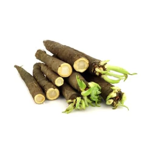 Organic Salsify1Kg