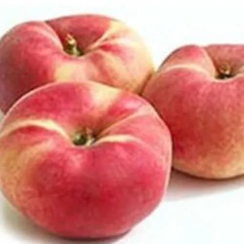 Organic Peach Spain1Kg