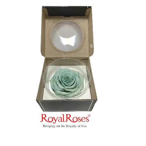 King Preserved Rose- Pale Blue 1Pc.