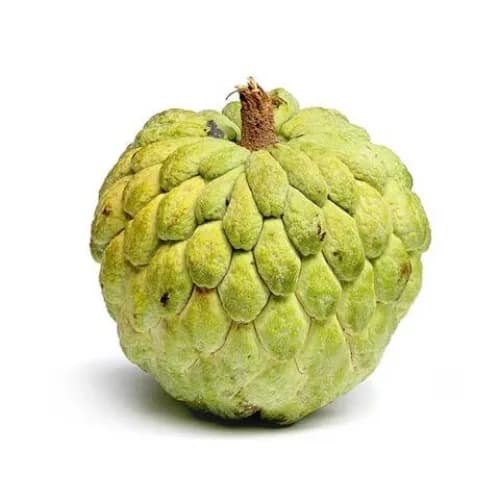 Organic Custard Apple Spain1Kg