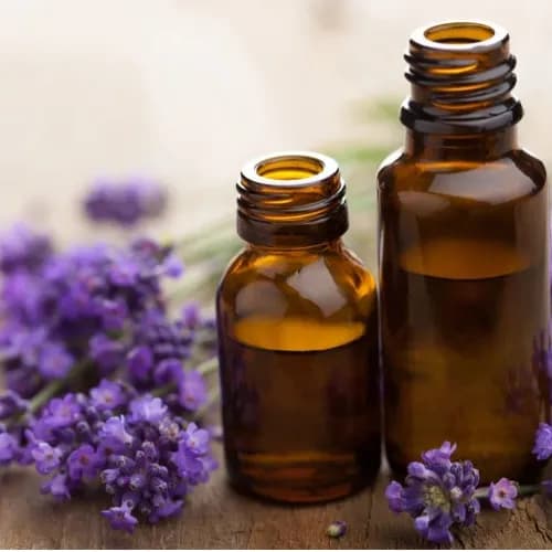 Lavender Fresh Oil 50 Ml