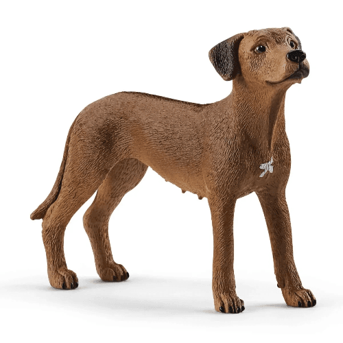 Schleich Rhodesian Ridgeback Figure