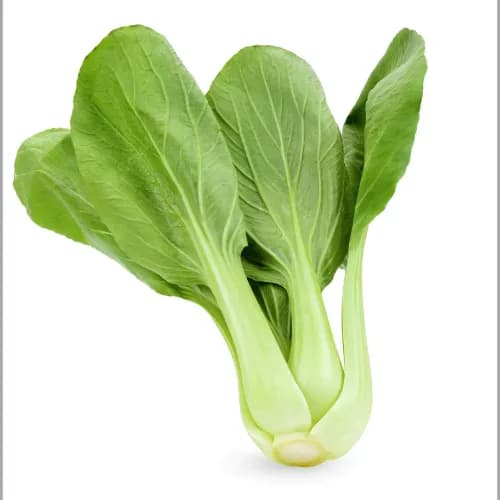 Bio Bok Choy1Kg