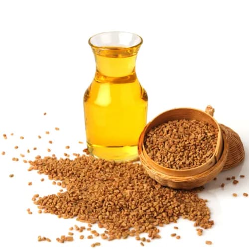 Fenugreek Fresh Oil 50 Ml