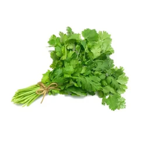 Coriander Bunch African