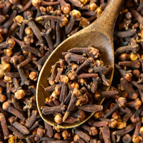 Cloves Seed