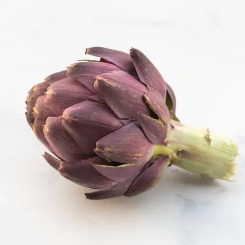 Bio Artichoke Purple1Kg