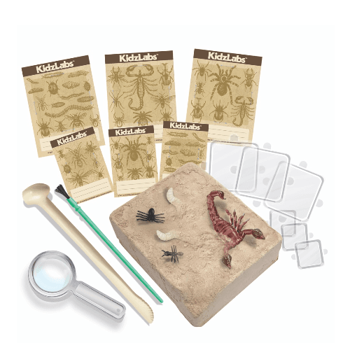 4M Kidzlabs Creepy Crawly Digging Kit