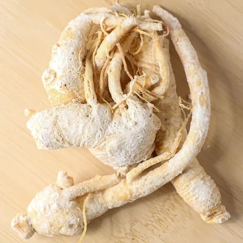 Chinese Ginseng Root