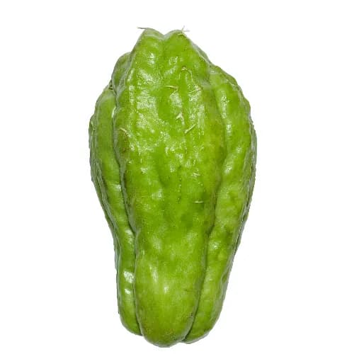 Chow Chow/Chayote