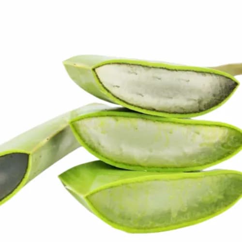 Bio Aloe Vera Leaf1Kg