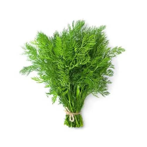 Dill Bunch African